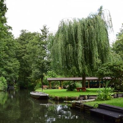 永乐国际下载手机版